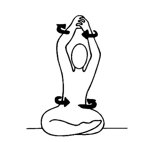 Eternal Youth Yoga Set (german)