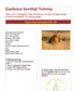 Excellence Needs Training - Kundalini Yoga Basic Text - PDF file