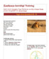 Exzellenz benötigt Training - Kundalini Yoga Basistext - PDF-Datei