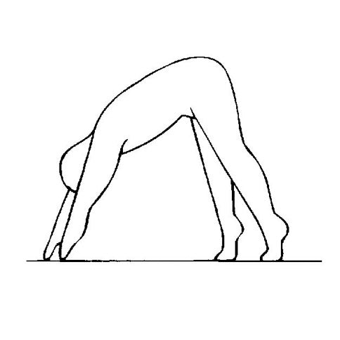 Für Innere Vitalität und Durchhaltevermögen - Yoga - Set