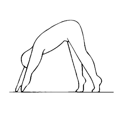 For inner vitality and stamina - yoga set (german)