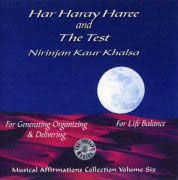 The Test - Nirinjan Kaur Khalsa