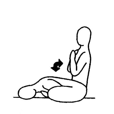 Generating and Sustaining Pranic Energy - Yoga Set - PDF file (german)