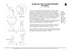 Massage des lymphatischen Systems- Yoga - Set