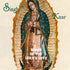 Saint François - Singh Kaur
