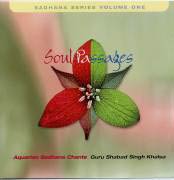 Soul Passages - Guru Shabad Singh komplett