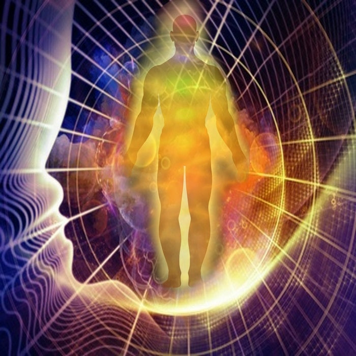 Le système de connaissance de soi - fichier PDF - entièrement révisé