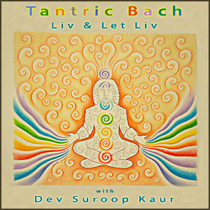 Bach Prelude in C Minor Instrumental Chill - Liv &amp; Let Liv with Dev Suroop Kaur