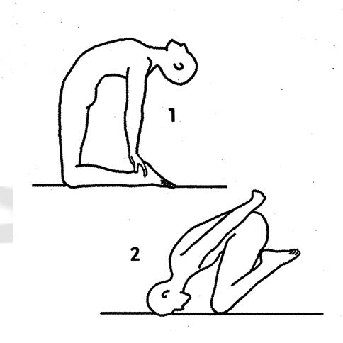 Übungsreihe - Kriya für das untere Dreieck- PDF
