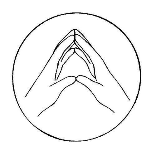 Kundalini Yoga Meditation: Ten Steps to Peace and Relief from Stress (german)