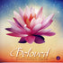 Beloved komplett - Guru Shabad Singh Khalsa