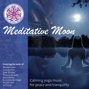 Meditative Moon - Various Artists komplett
